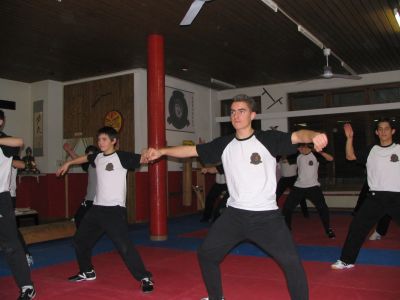 JKD allgem. Kung Fu Training
