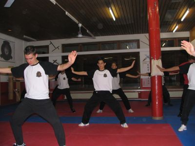 JKD allgem. Kung Fu Training
